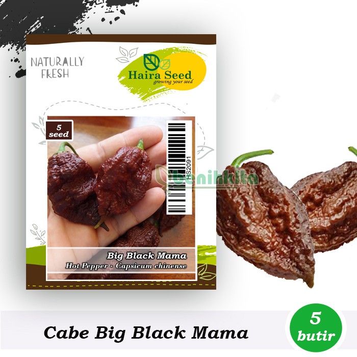 Benih-Bibit Cabe Super Pedas Big Black Mama (Haira Seed)