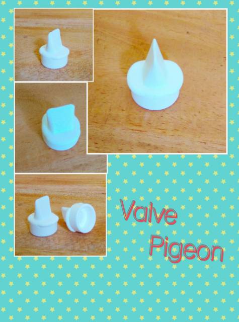 Valve pigeon / Pigeon Valve