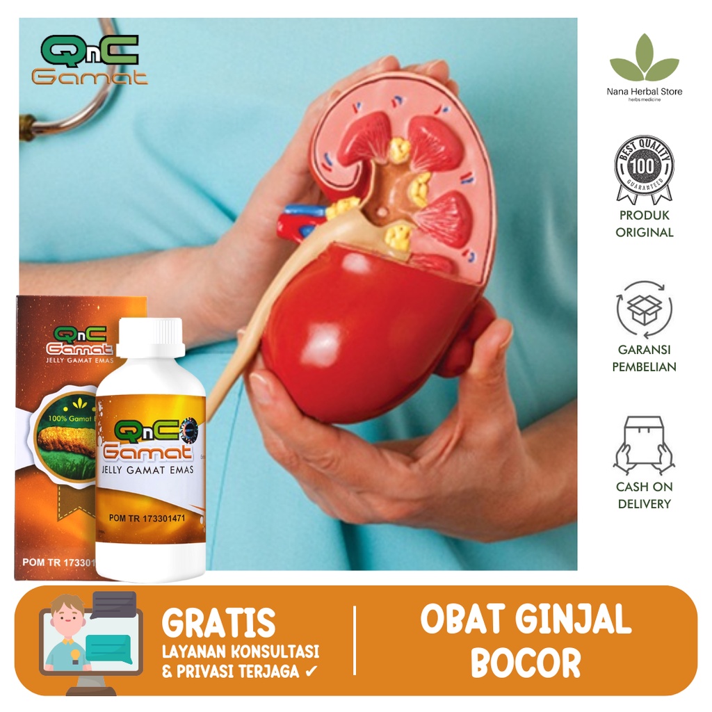 Obat Ginjal Bocor, Ginjal Bocor Pada Anak Dan Dewasa, Sindrom Nefrotik, Kebocoran Ginjal, Obat Penya