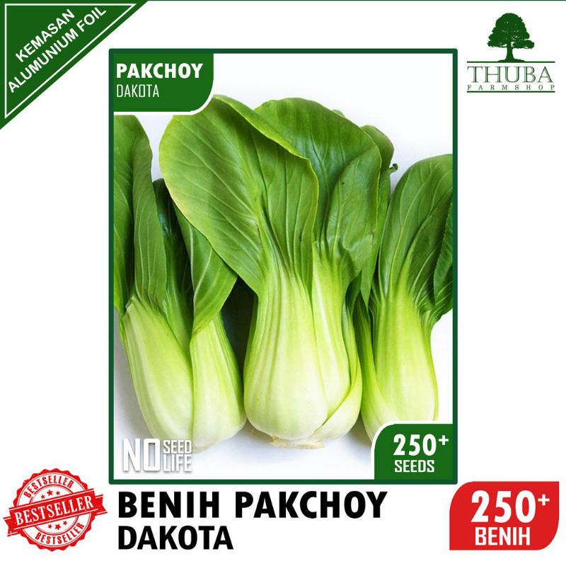 Benih Sawi PAKCHOY DAKOTA - Bibit Sawi Hijau Murah Meriah