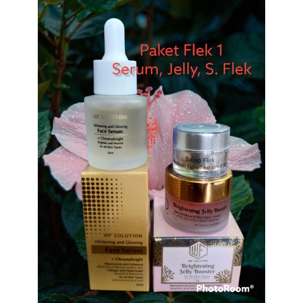Paket Flek 1 WF Solution