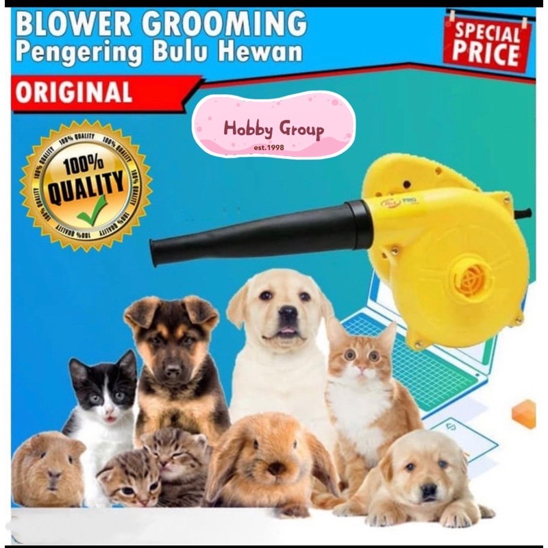 Blower kucing anjing hewan pengering bulu grooming mandi hairdyer hair dyer peniup angin dog cat pet