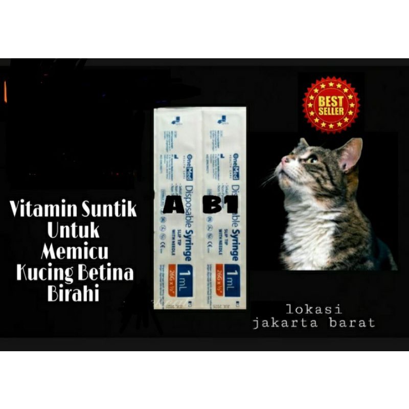PAKETAN VITAMIN KUCING BETINA A+B1 UNTUK LEBIH SUBUR MEMPERKUAT KANDUNGAN,UNTUK BIRAHI