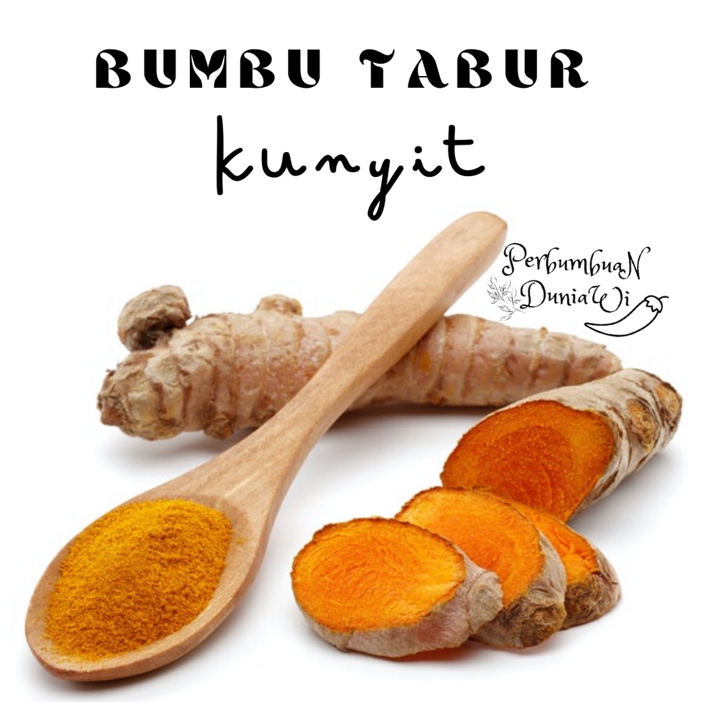 

Kunyit Bubuk Pure Curcumin Powder 100gr - Perbumbuan Duniawi