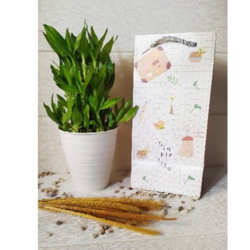 Kado Souvenir Paket Bambu Cina Unik Kekinian Hadiah Ulang Tahun Gift Set Ultah Bambu Rezeqi Mini Kad