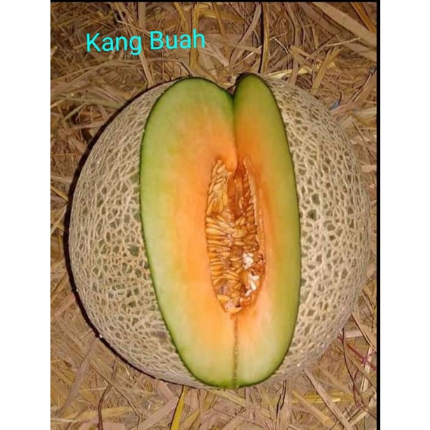 

Melon Madu fress/berat 1,5 kg/manis