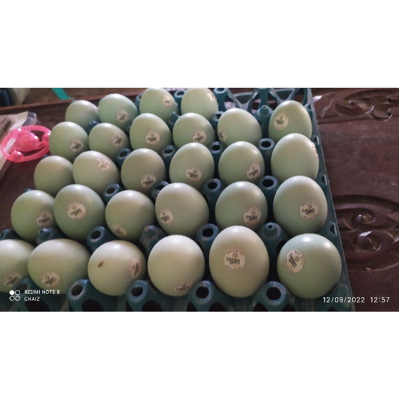 

telur asin