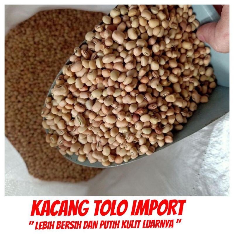 Kacang Tolo / Tunggak ASLI Import dari india berat 1 Kg kilogram dijamin selalu fresh ya kak