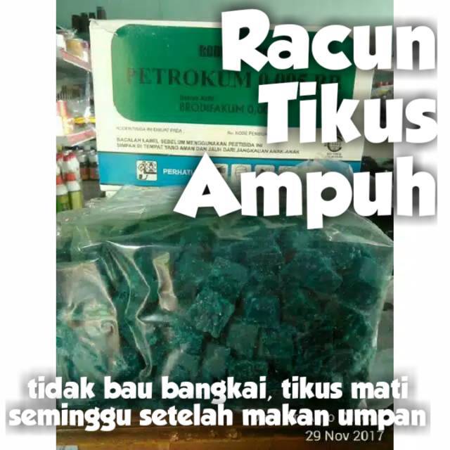 RACUN TIKUS MATI KERING PETROKUM TIKUS KERING