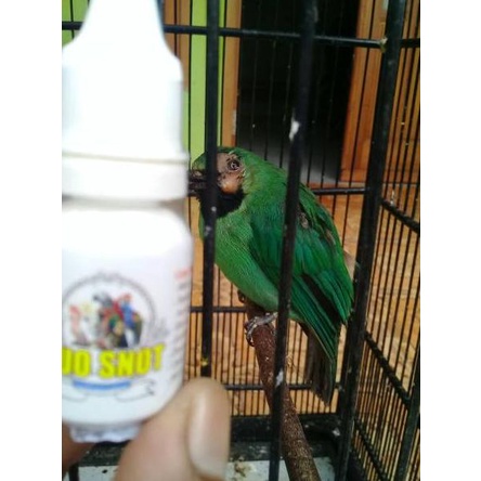Modern.. DUO SNOT COMBINE -> Obat snot/patek untuk segala jenis burung