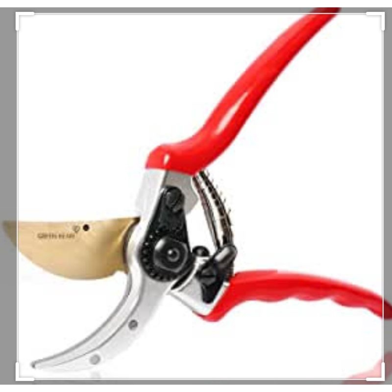 gunting pohon dahan ranting besar tiger 850