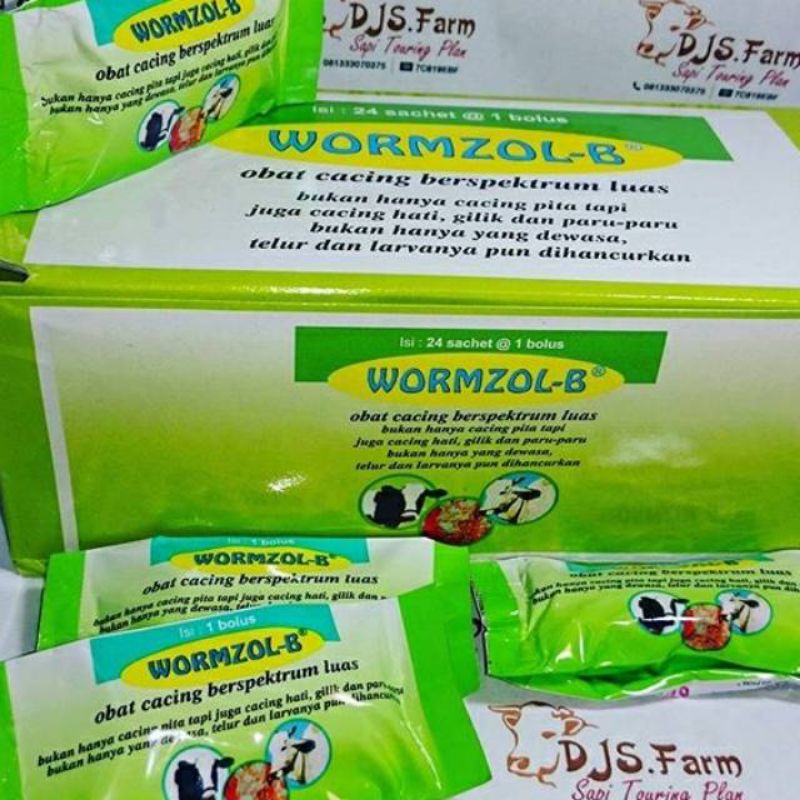 WORMZOL OBAT CACING UNTUK HEWAN SAPI DAN KERBAU