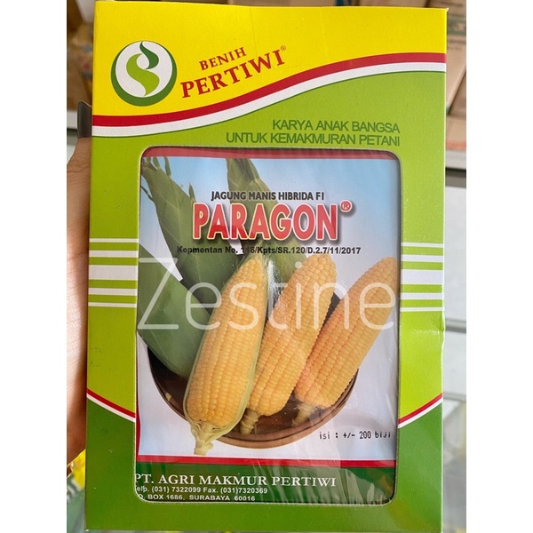 [Tani] Benih Jagung Manis Paragon SMALL PACK = 200 biji/bungkus