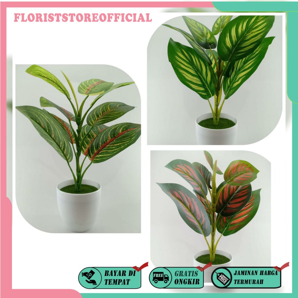 COD TANAMAN HIAS TANAMAN DAUN PLASTIK TANAMAN HIAS RUMAH BUNGA HIAS BUNGA PLASTIK BUNGA BP8830