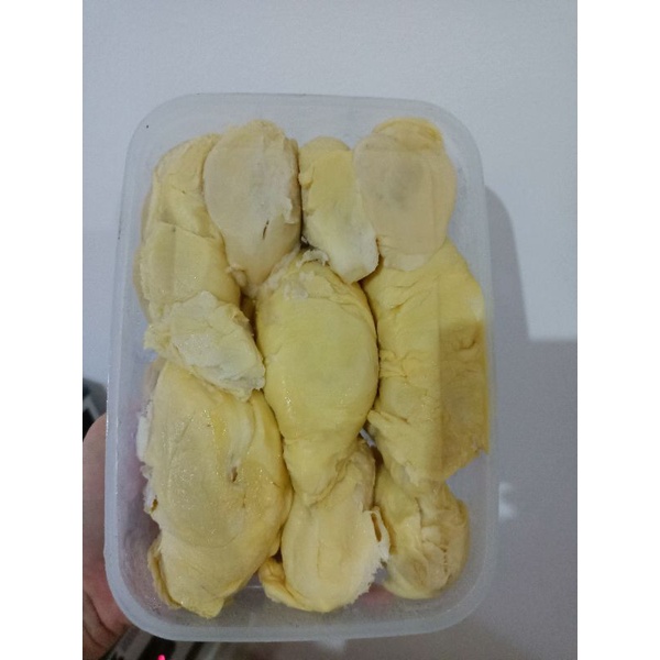

durian padang