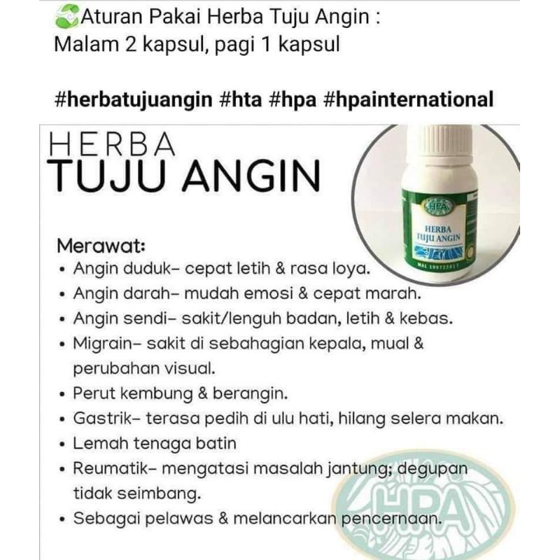 Herba Tuju Angin Hta Hpa Mengatasi Perut Kembung Rheumatic Migrain Maag Grastik Shopee Indonesia