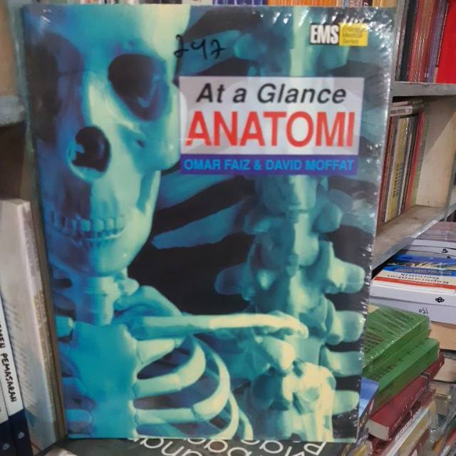 ANATOMI