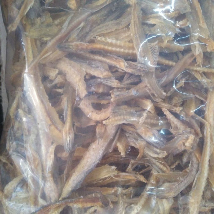 

tulang siting 10 kg khusus gojek only