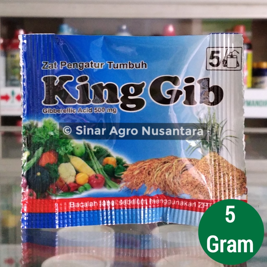 Jual ZPT PEMBESAR BUAH KING GIB - 5 GRAM | Shopee Indonesia