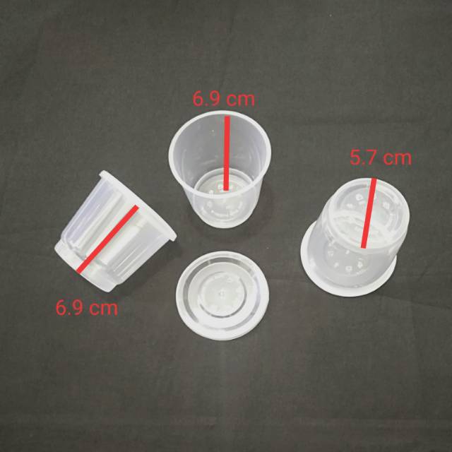 CUP PUDING 150 ML /CUP PUDING MERPATI 150 ML (25 PCS/PACK)