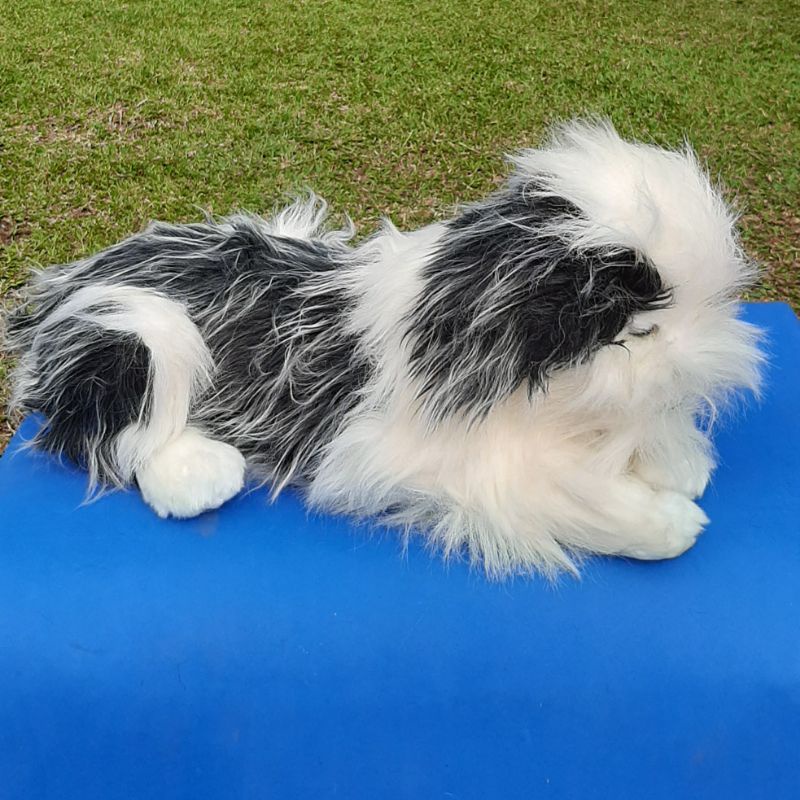 Boneka anjing bearded collie