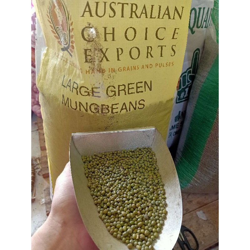 

Kacang Hijau ex Australia(500 gram)/ Kacang Hijau Besar - tanpa direndam 15 menit matang