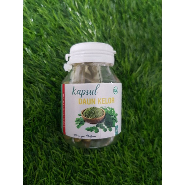 kapsul herbal daun kelor , jamu tradisional herbal daun kelor herbal