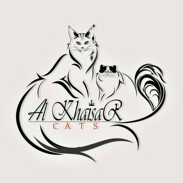 dearyyusmantanubrata