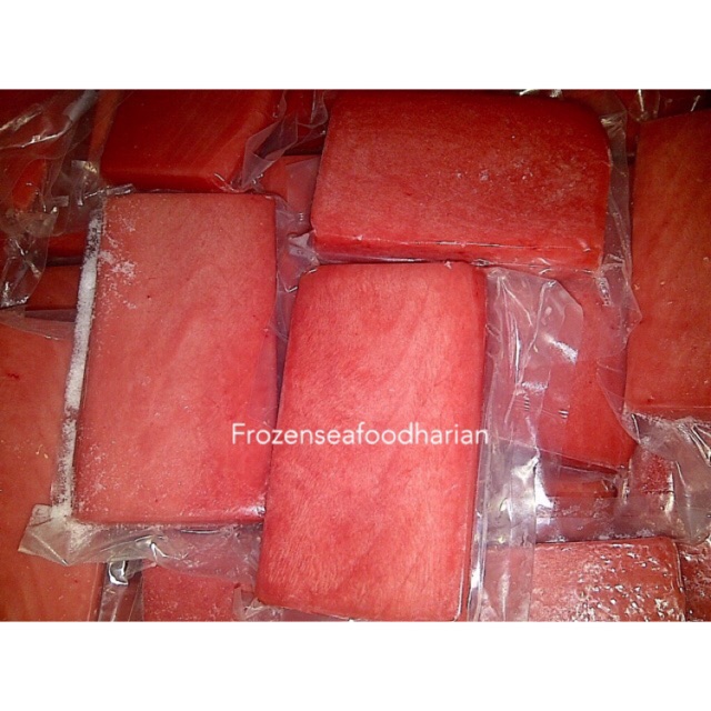 

Ikan Tuna Fillet Saku Beku Frozen (Grade Premium)