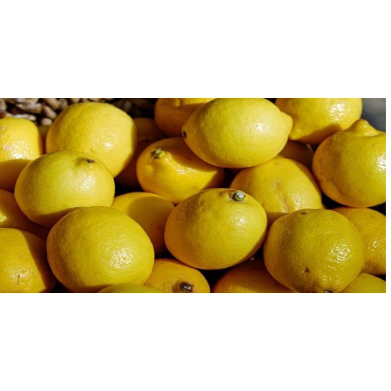 

Buah Lemon Import