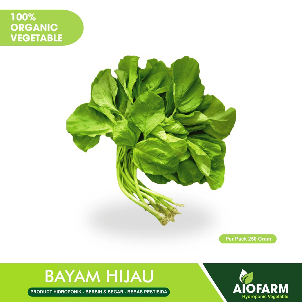 

Bayam Hijau Sayuran Organik / Hidroponik AioFarm 200 Gram