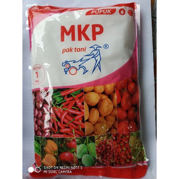 MKP PAK TANI