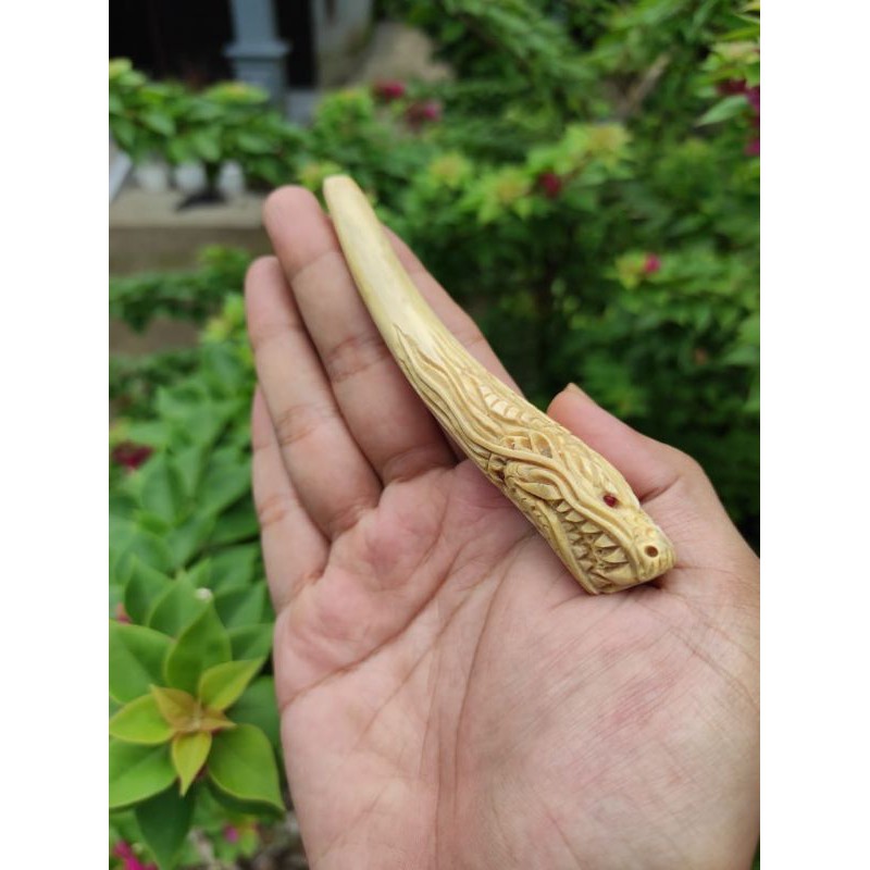 pipa once akar bahar putih ukir naga