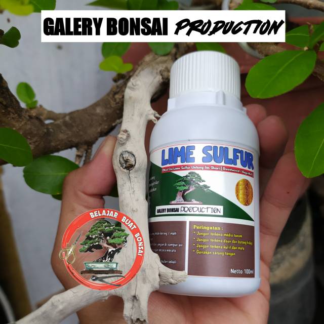 LIME SULFUR BONSAI OBAT JIN KEMASAN KECIL