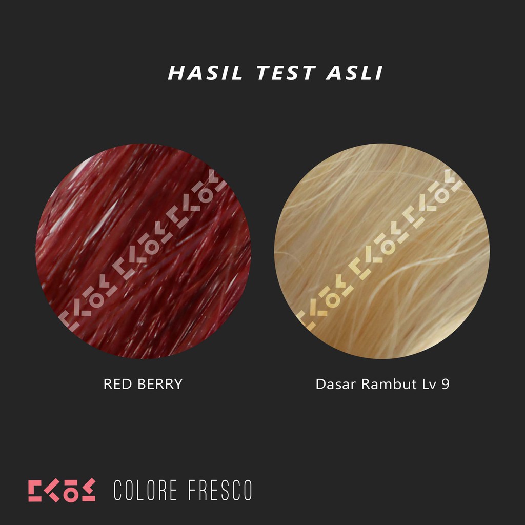 COLORE FRESCO - RED BERRY color cream cat pewarna rambut burgundy