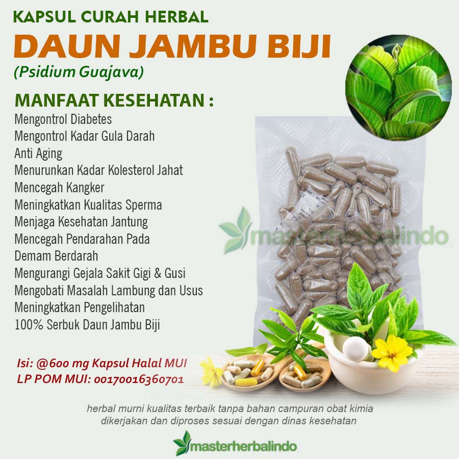 

Kapsul Curah Herbal DAUN JAMBU BIJI Guava 200x600mg Rambut Rontok Obesitas