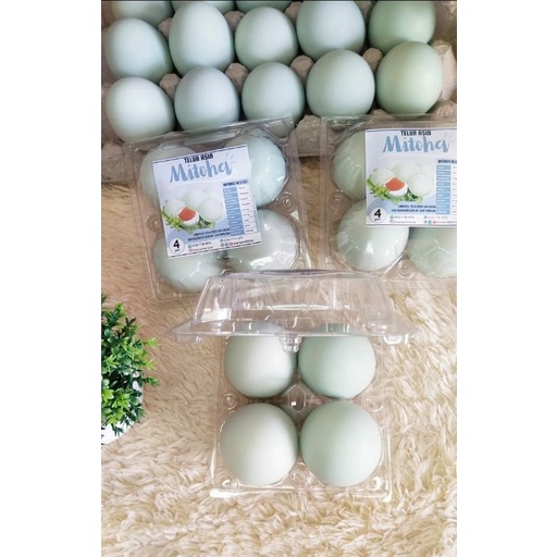 

TELUR ASIN MATANG MASIR DAN FRESH ISI 4