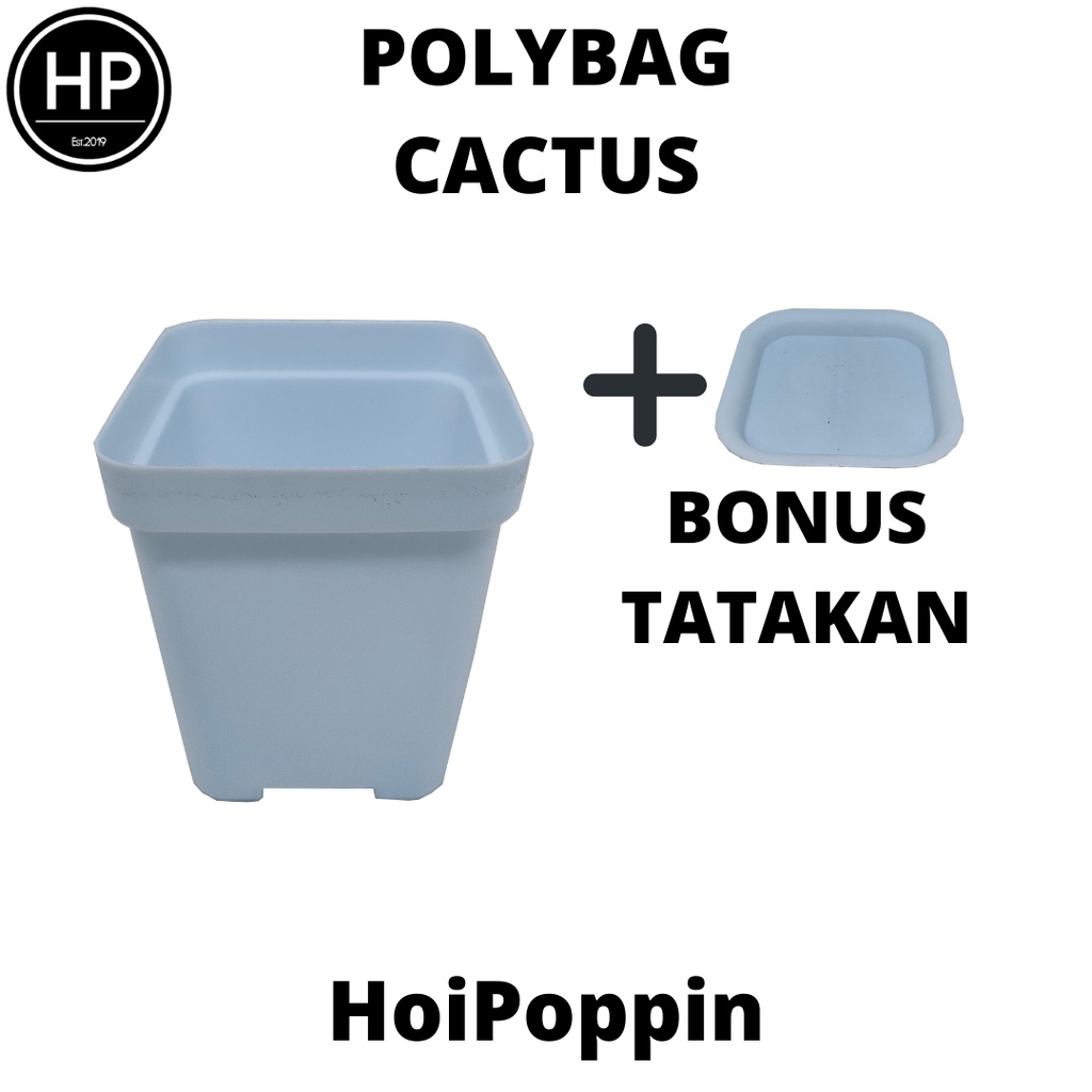 HPP - Polybag (Biru) - cactus polybag - pot cactus - pot elastis - pot dan tatakan - pot - pot hias