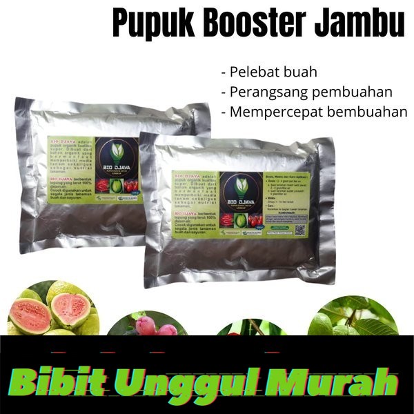 Pupuk Organik Booster Jambu Air Pemicu Cepat Berbuah Besar dan Lebat