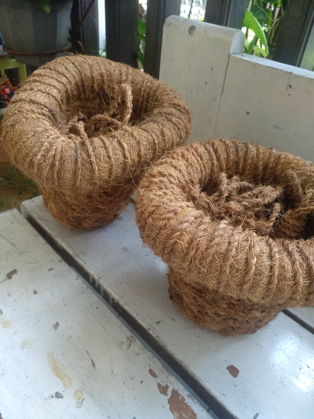 Pot Gantung Pot Serabut Kelapa Sabut Kelapa Pot Anggrek E