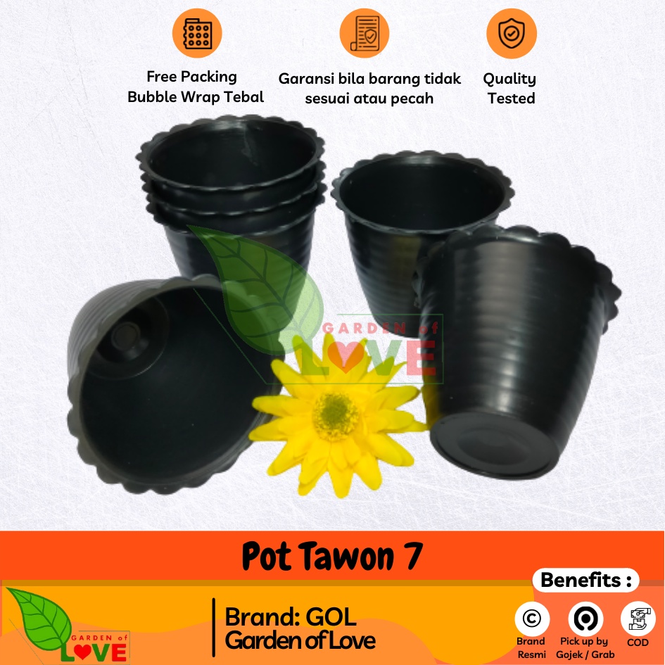 Lusinan Pot Tawon 7 Hitam 7.5 Cm By Garden Of Love Pot Bunga Plastik Mini Lucu Vas Bunga Kaktus Kecil Terbaru