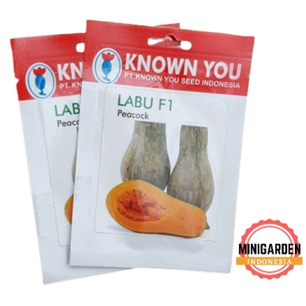 LABU PEACOCK 8 BIJI PACK KECIL Benih labu madu waloh  F1 unggul Known You Seed bibit tanaman sayur sayuran