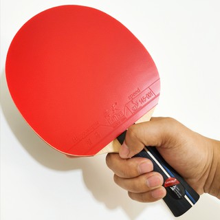 Professional Table Tennis Paddle with Carrying Case ping pong racket with ITTF Approved Rubber for Tournament Play