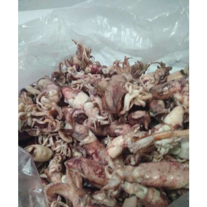 

Makanan laut kering cumi asin fresh 500gr