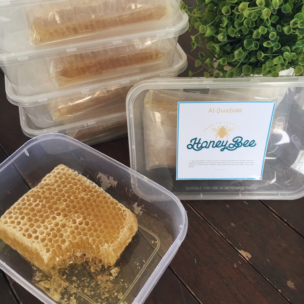 

Madu 100% Asli Langsung Dari Sarangnya - HoneyBee