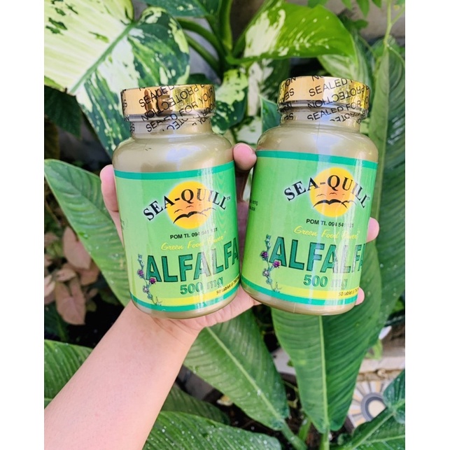 COD SEA QUILL ALFALFA [KESEHATAN] ORIGINAL