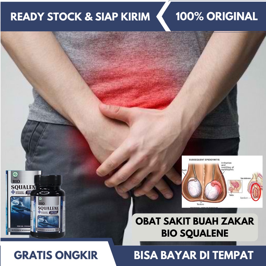 Obat Sakit Buah Zakar, Obat Buah Zakar Bengkak Sebelah, Obat Buah Zakar Nyeri, Obat Buah Zakar Turun