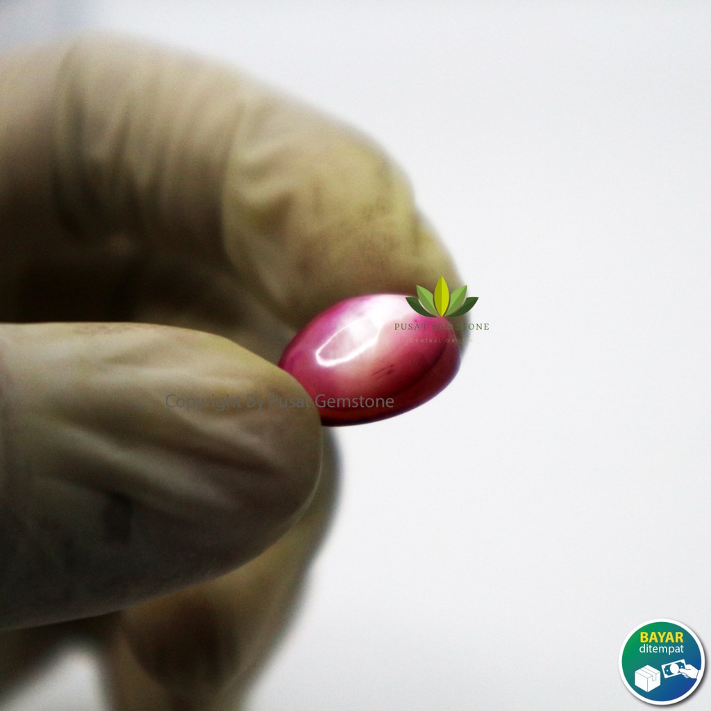 Batu Kerang Merah Delima