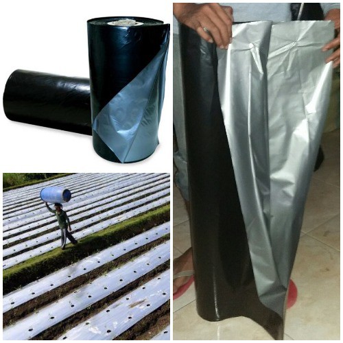 Jual Mulsa Plastik Hitam Perak Lebar 120cm Tebal 0,35mm | Shopee Indonesia