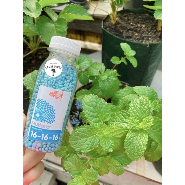 pupuk npk 161616 mutiara yaramila pak tani repack 100ml